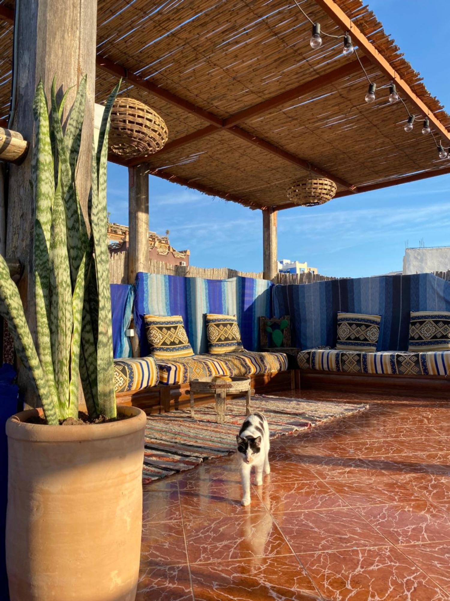 Azura Surf Hostel Tamraght Exterior photo